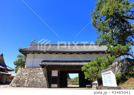 佐賀城　佐賀城跡　鯱の門 43465041