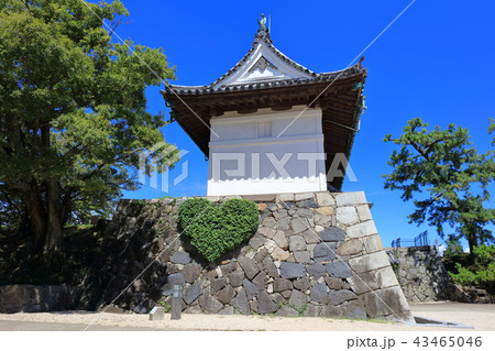 佐賀城 佐賀城跡 鯱の門 佐賀城 佐賀城跡 鯱の門 43465046