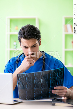 Young doctor working in the hospital Young doctor working in the hospital 43465304