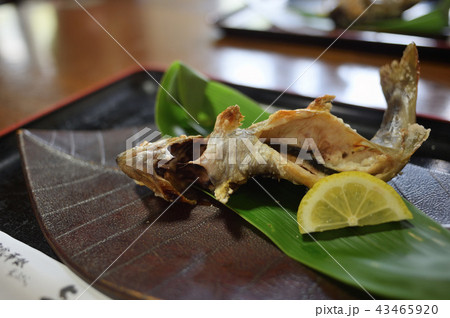 五箇山 菅沼集落 イワナの塩焼き 五箇山 菅沼集落 イワナの塩焼き 43465920