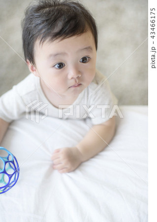 男 男性 男の子 43466175