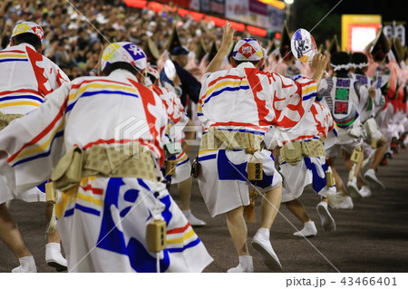 阿波踊り 43466401