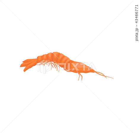 Flat vector icon of red shrimp. Marine creature. Seafood theme. Element for product packaging 43466771