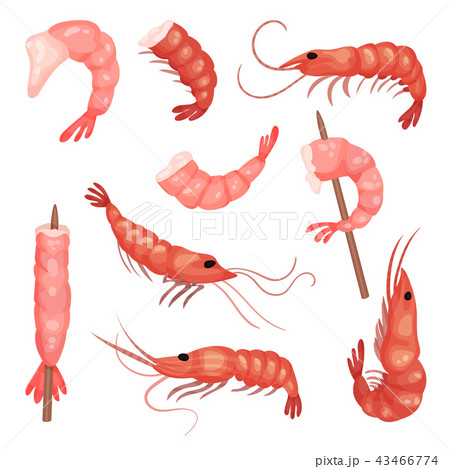 Flat vector set of pink shrimps. Peeled prawns without heads. Marine product. Delicious snack 43466774