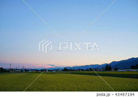 田園の黄昏時　　安曇野市穂高 43467194