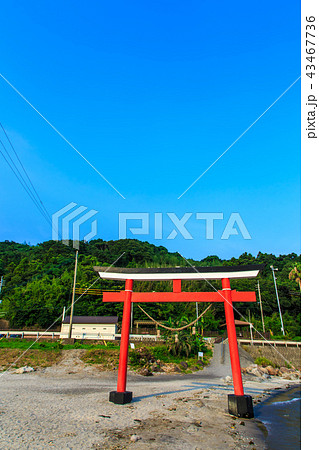 荒平天神　【鹿児島県鹿屋市】 43467736