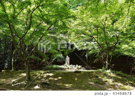 大津・崇福寺跡 43468678