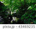 醒ヶ井宿 43469235