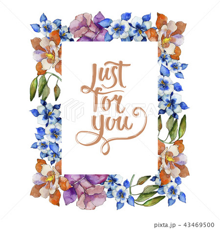 Watercolor colorful aquilegia flower. Floral botanical flower. Frame border ornament square. 43469500