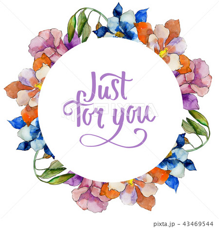 Watercolor colorful aquilegia flower. Floral botanical flower. Frame border ornament square. 43469544