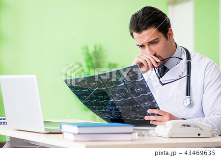 Doctor radiologist looking at x-ray scan in hospital Doctor radiologist looking at x-ray scan in hospital 43469635