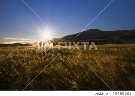 Southwestern Iceland, Geysir hot spring eruption. 43469935