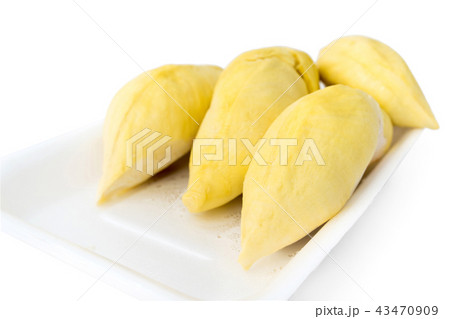 durians in packed foam tray on white background 43470909
