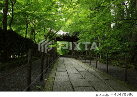 光明寺より 光明寺より 43470990