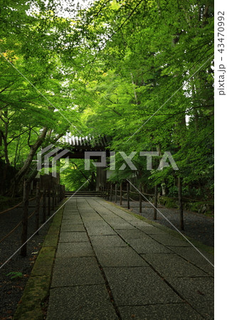 光明寺より 光明寺より 43470992