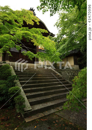 光明寺より 光明寺より 43470996
