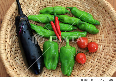菜園のささやかな収穫 福島県只見町 菜園のささやかな収穫 福島県只見町 43471180