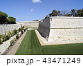 Fortified walls in Mdina 43471249
