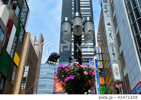 新宿歌舞伎町の繁華街とゴジラ 43471308
