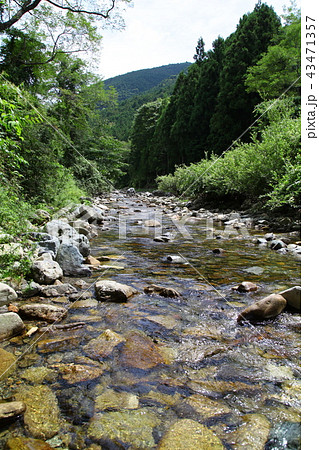 穏やかな流れの清流 43471357