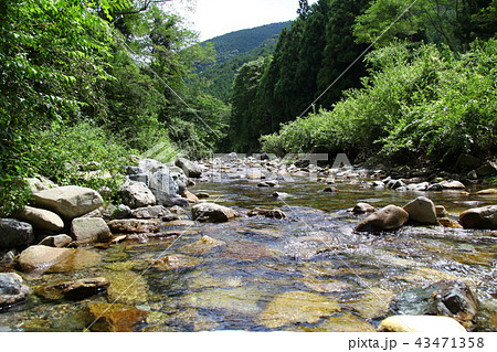 穏やかな流れの清流 穏やかな流れの清流 43471358