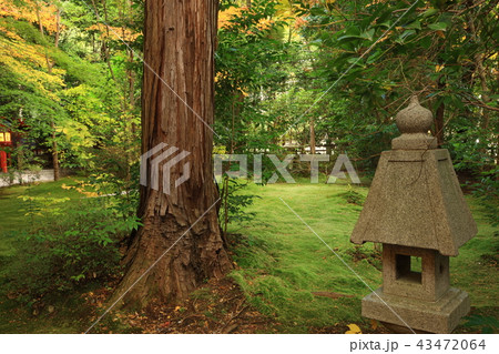 野宮神社より 野宮神社より 43472064