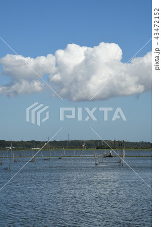 印旛沼に浮かぶ雲・釣り人一人 43472152