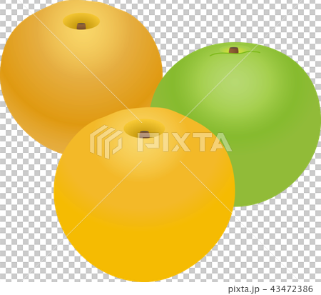 pear pear 43472386