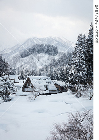 富山県 相倉合掌造り集落 雪景色 43472890