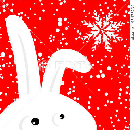 Funny rabbit on red christmas snowing background 43473236
