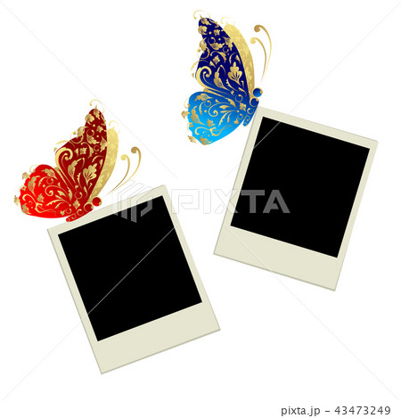 Two photo frames with butterfly decoration 43473249