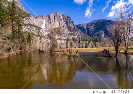 Yosemite National Park 43474328