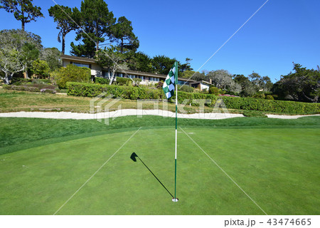 アメリカ　ペブルビーチ 43474665