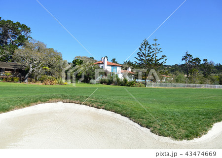 アメリカ　ペブルビーチ 43474669