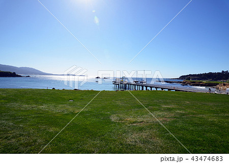 アメリカ　ペブルビーチ 43474683