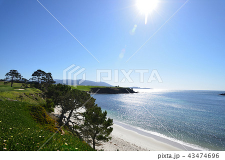アメリカ　ペブルビーチ 43474696