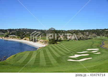 アメリカ　ペブルビーチ 43474714
