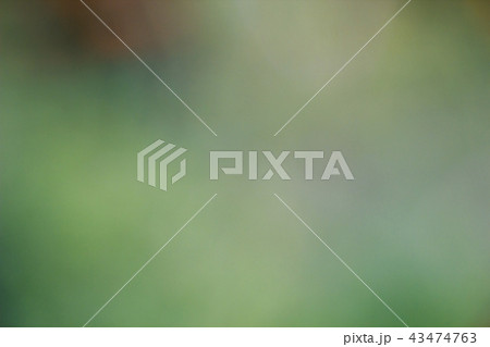 Abstract blurred green background, nature concept Abstract blurred green background, nature concept 43474763