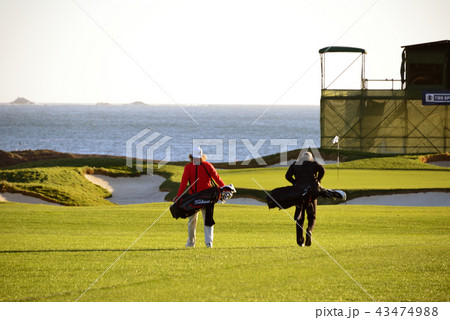 アメリカ　ペブルビーチ 43474988