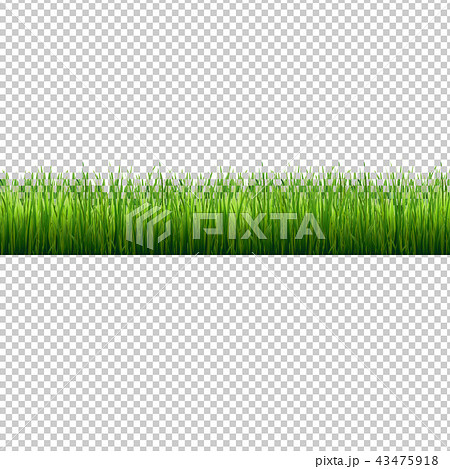 Grass Border Isolated Transparent Background 43475918