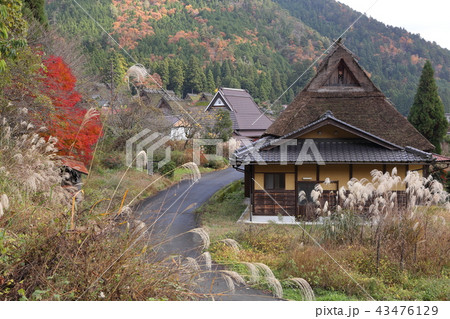 秋の美山の里 秋の美山の里 43476129