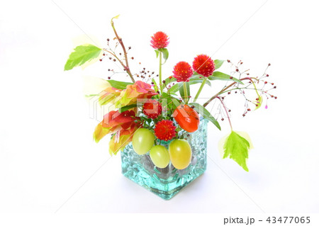 秋のフラワーアレンジメント 秋のフラワーアレンジメント 43477065
