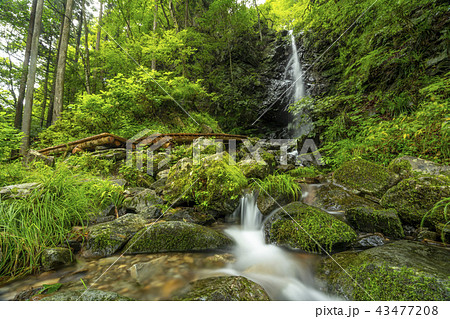 檜原村 龍神の滝 43477208