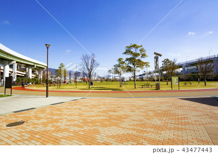 神戸震災復興記念公園(みなとのもり公園)、神戸市中央区にて 神戸震災復興記念公園(みなとのもり公園)、神戸市中央区にて 43477443