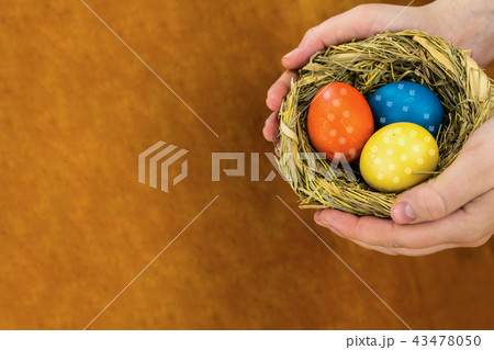 nest colored eggs holiday symbol Easter in hands 43478050