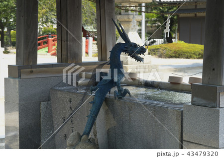 後から見た吐水龍 後から見た吐水龍 43479320