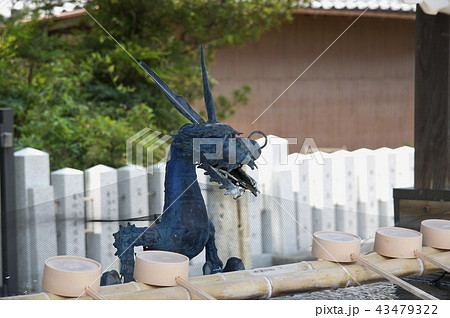 手水舎の吐水龍 43479322