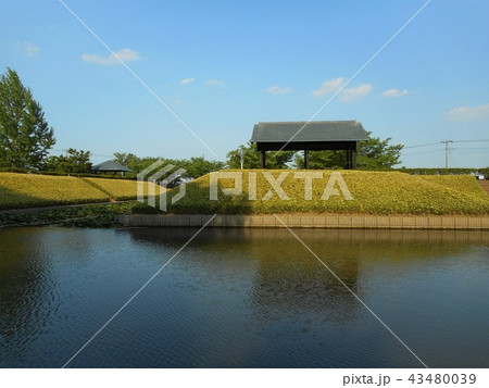 難波田城公園 43480039