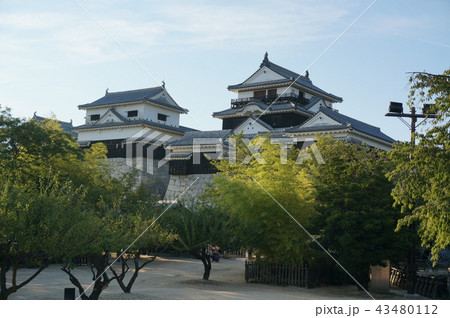 伊予松山城 伊予松山城 43480112