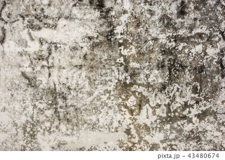 mildewed wall background mildewed wall background 43480674
